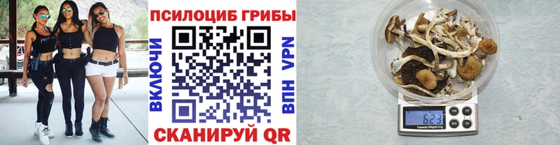 Галлюциногенные грибы мицелий  даркнет сайт  Каргат 